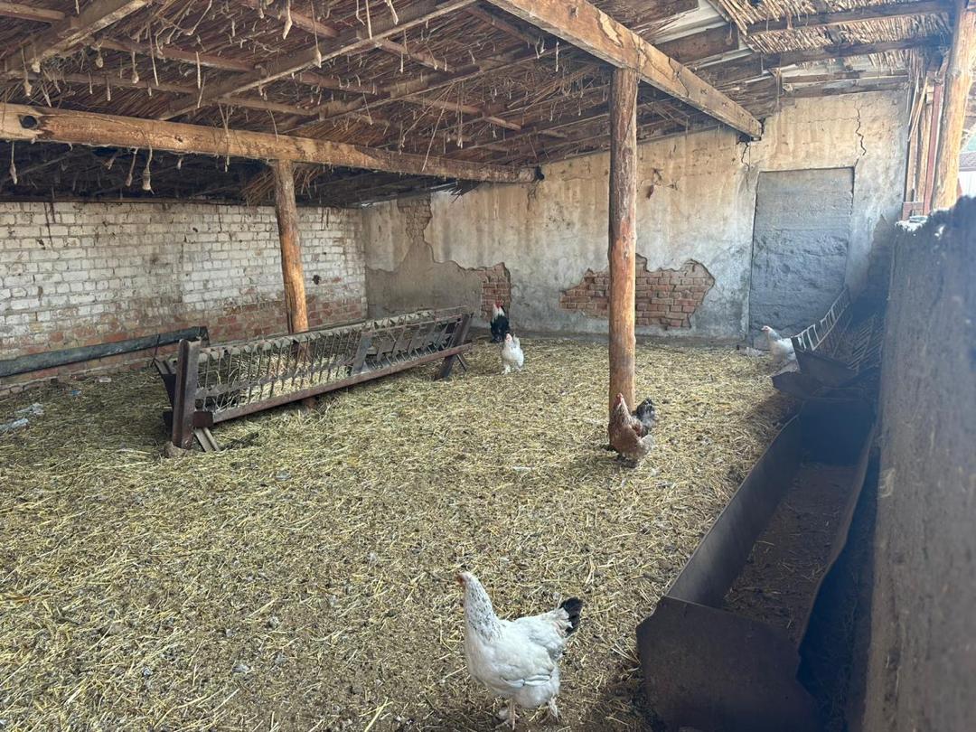 Агентство недвижимости Бишкек