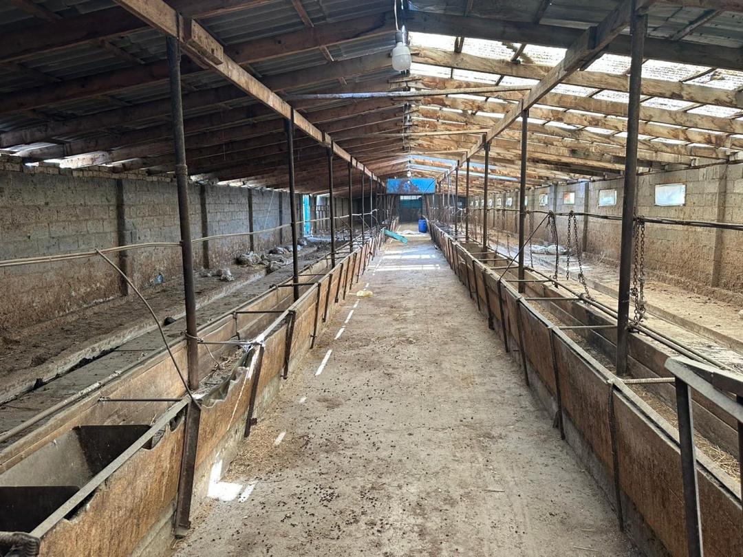 Агентство недвижимости Бишкек