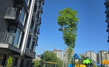  Агентство недвижимости